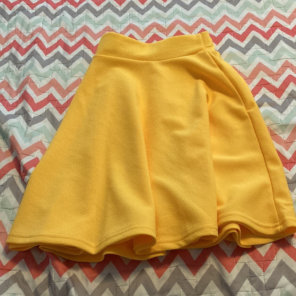 SHEIN skater skirt (plus size)